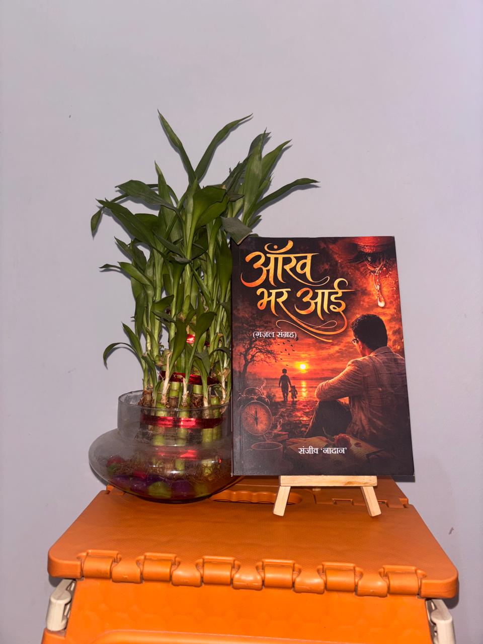 संजीव नादान